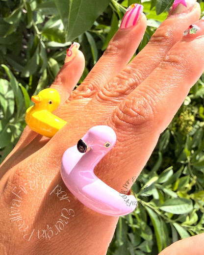 Anillo Pool Party