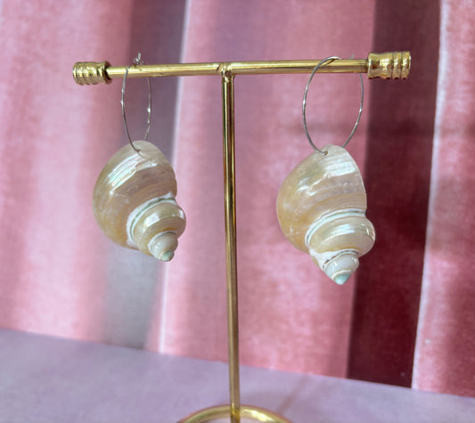 Aretes Caracol