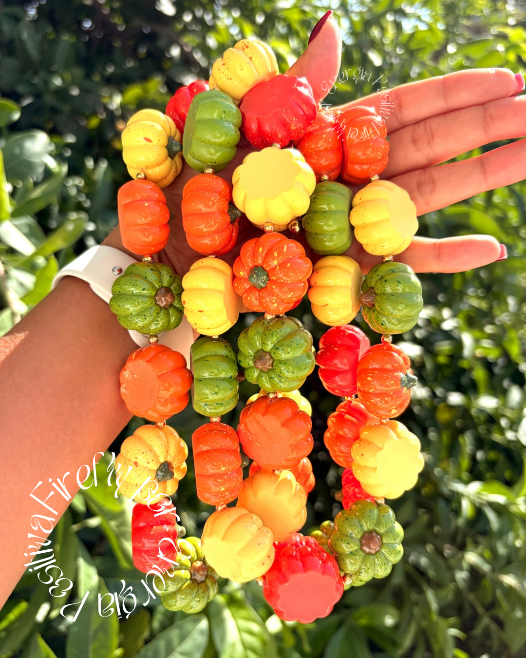 Collar Pumpkin Patch