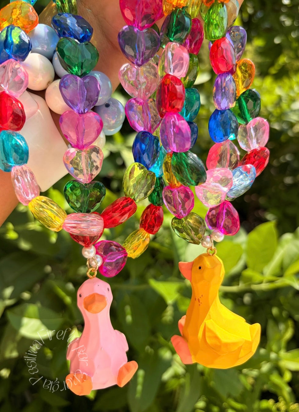 Collar Rainbow Duck